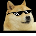 DOGE channel group