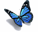 The blue butterflies:)