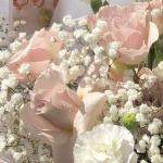 _RoyaleRoses