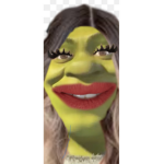 Loristom324