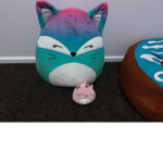 Souishmallows
