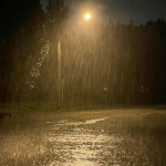 Cold rain