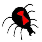 SG SPIDER GANG