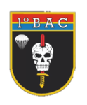 [BAC] Batalhão de Ações e Comandos || T1