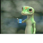 Geico Insurance Service
