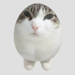 BALL