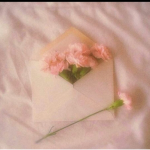 soft_aesthetics
