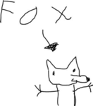 I love foxes the group