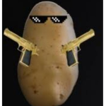 The potatous