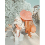 Preppy Love Boutique