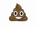 MAKE POOP!