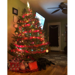 Christmas is cool1234