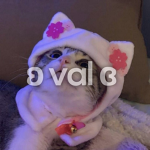 ʚ val ɞ