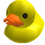 TEAM DUCK (real)