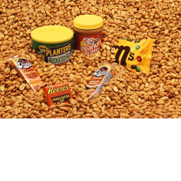 PeanutBot HQ