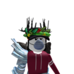 roblox group and robux