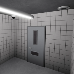 literally solitary confinement