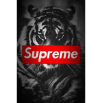 Rapper group