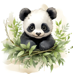 Panda Development games