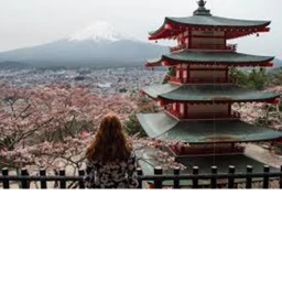 ( japan park ) icon