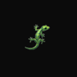 The so cool lizards :) :)