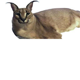 just an obby