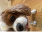 Charlie’s sister