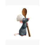 Remys rats!