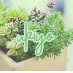 ! ukiyo
