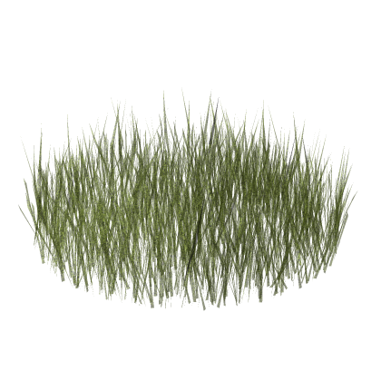 [UPDATE] Enhanced Realistic Grass Model