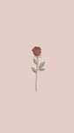 *…~My blossoms~…*