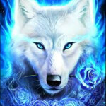 Paws and Howls (Wolf Roleplay)