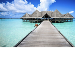 Go fto a island