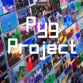 P y g  Project