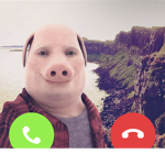 JHON PIG GROUP