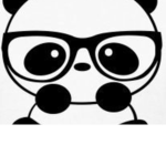 The Cute Cuddley Kawaii Pandas