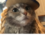 Thiagotheman122