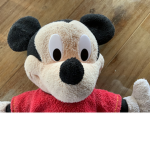 Mickey studio fan club