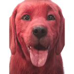 RedDog Studios