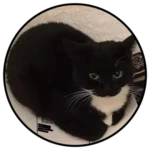 The Maxwell Gamepass