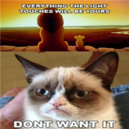 Grumpy cat meme Roblox decal