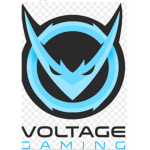 The Voltage group