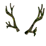 Antler Team