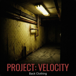 Project: Velocity