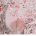 LemonCloudy