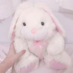 ᴀᴜʀᴏʀᴀ!