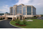 swan lake hotel