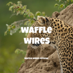 Waffle wires Official group.