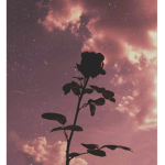 Pink&blue aesthetic