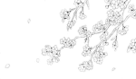 - [ DAWN ] - Group Thumbnail